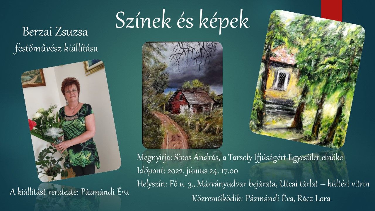 Berzai Zsuzsa kiállítása a Székesfehérváron, a Fő utcában